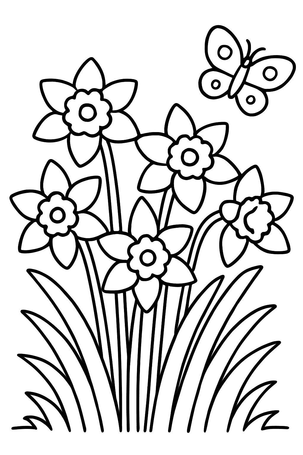 Narcisy