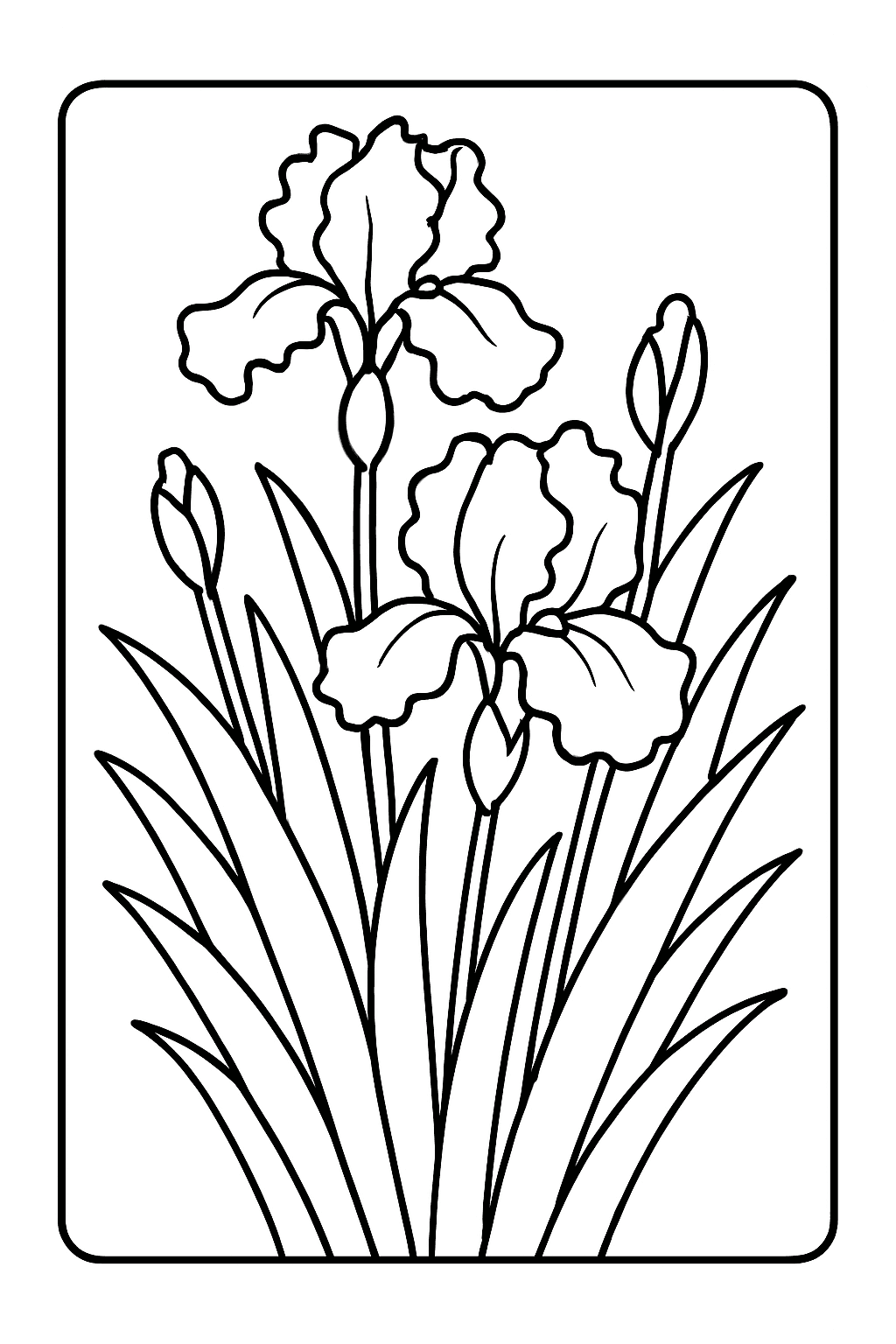 Kosatce