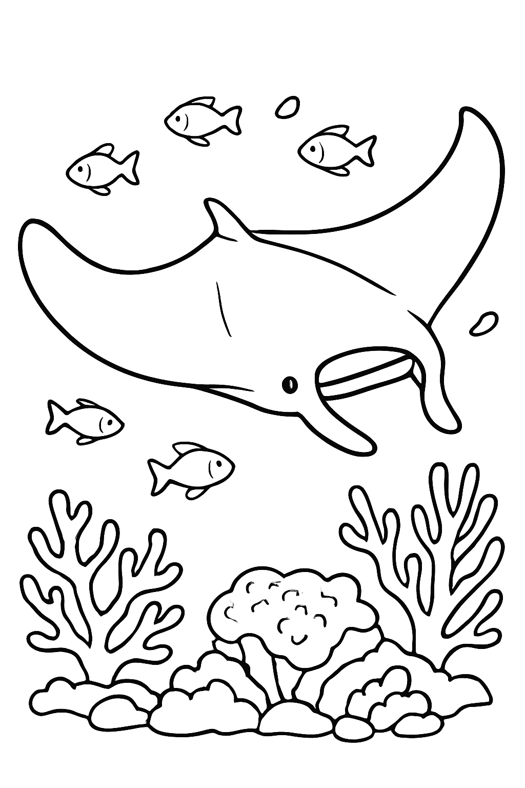 Rejnok manta